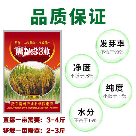 Guizhou glutinous rice seeds long-grain fragrant glutinous rice seeds paddy field seeds Huinuo 330 pearl glutinous rice seeds early and late rice seeds regular Taihe fragrant glutinous rice seeds a pack (round glutinous rice 200 grams)