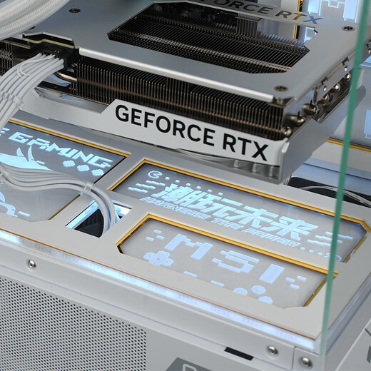 MSI Family Bucket AMD Ryzen R5 5600/R7 5700X/9500F/5060/5070TI Office Computer AI Host E-Sports Game Desktop Complete Machine DIY Assembly Computer 5700X+RTX5060丨Celebrity Model