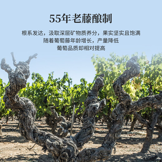 朗克鲁酒庄都德精选干红葡萄酒 法国原瓶进口尼姆丘村庄级AOP红酒 750ml 750ml*2+醒酒器*1+酒杯*2