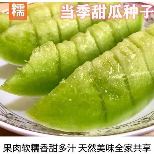 Qizhe's new variety of sweet jade mushroom, melon, honeydew and cantaloupe seeds are high-yielding and easy to grow and can be sown in all seasons. Fresh fruit seeds can be sown in all seasons. Sweet Yuru melon seeds 60 capsules