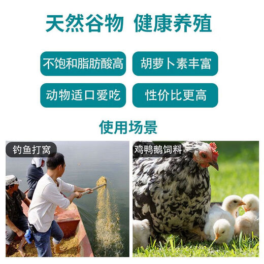 Chicken feed, corn crushing, corn stubble, corn slag, chicken feeding, chicken fishing, nesting, duck and goose grain, whole grains, unbroken corn kernels, 50Jin, Jin is equal to 0.5 kilograms