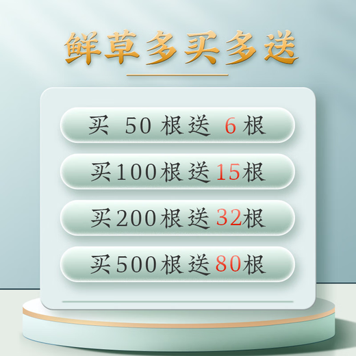 2025年新鲜冬虫夏草正宗头期鲜虫草1.2克/根正品鲜草送礼品补品 1.2克以上/根【冷冻保存】 50根送6根新鲜虫草再送礼盒
