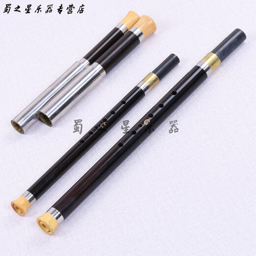 时笙黑檀木乌木双管横吹巴乌降B/F调C/G调学生成人演奏乐器 降B调+F调+