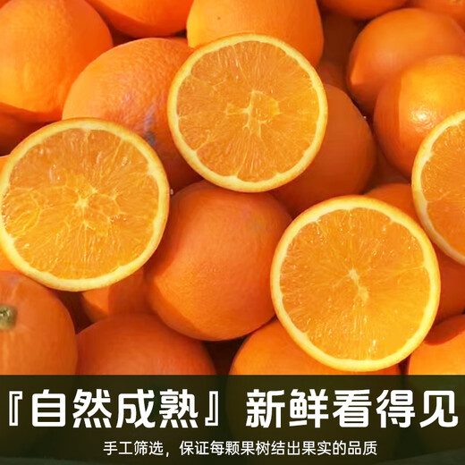 Collection of fresh Jiangxi and Gannan navel oranges, seasonal fresh orange fruits, freshly picked and shipped for holiday gifts, including box of 10 Jin Jin equal to 0.5 kg, net weight of 9 Jin Jin equal to 0.5 kg, preferred fruit 150-230g