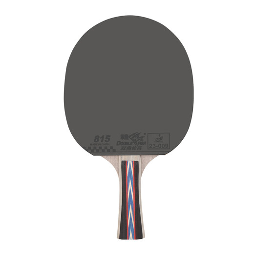 Pisces table tennis racket double racket set pendulum horizontal racket 6D six-star table tennis racket table tennis racket 2 pieces with 6 balls