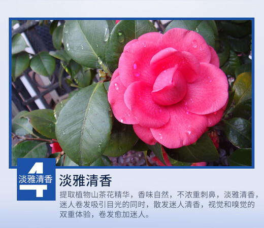 Decolor curl elastic, women's curly hair moisturizing, styling and long-lasting moisturizer, curl repair essence, anti-frizz, light gray