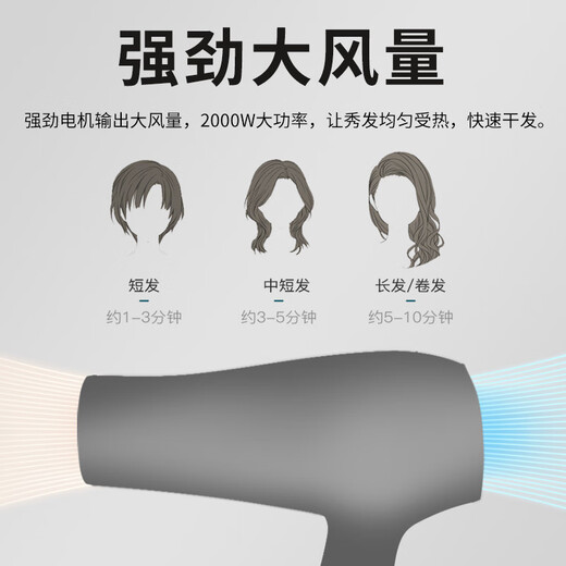 FLYCO hair dryer for home high power constant temperature hair care large wind speed drying dormitory bore tail cargo machine [quality home appliances] Feike FH6232 same model [BR1626] + air cushion comb + roll comb