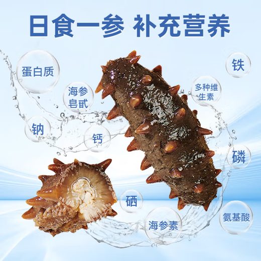 Liao Cucumber Dalian Frozen Sea Cucumber 3 Jin Jin is equal to 0.5 kg, packed with 10-12 heads*3 non-ready-to-eat independent packaging, straight from the source, solid content 85%