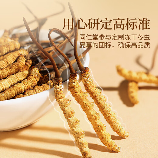 同仁堂正宗同仁堂品牌冬虫夏草约5根/g2g约10根冬虫草滋补品礼品高端