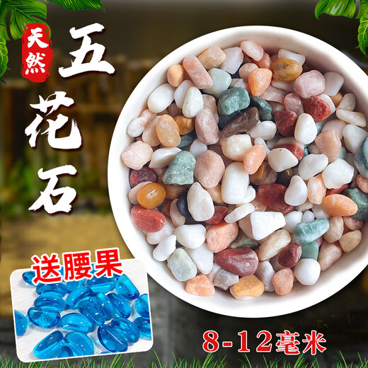 Runhuanian Pure Rain Flower Stone Potted Succulent Pavement Stone Small Multicolored Stone Fish Tank Pavement Ornamental Stone Colorful Small Stone Multicolored Stone 8-12mm 5Jin Jin is equal to 0.5 kg