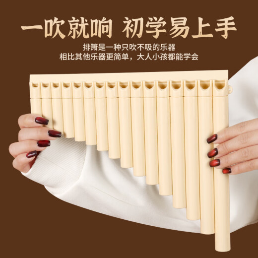 元族排箫乐器16管18管初学者儿童入门小学生专用演奏C调易学排笛 新款18管黑色+刻字++终身质保