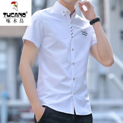 Woodpecker (Tucano) weißes Hemd Herren Sommer Trendy Marke kurzärmeliges einfaches Festkörper-Hemd Junggeschäft hübsches, vielseitiger Schüler formelles Verschleiß Royal Blue 829 XL 120-133jin [Jin ist gleich 0,5 kg]