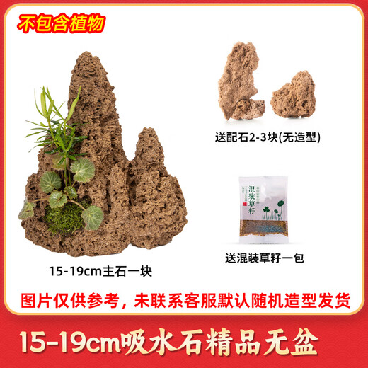High-quality water-absorbing stone bonsai fish pond rockery micro-landscape decoration natural rockery stone landscaping raw stone high-quality 15-19cm water-absorbing stone without basin