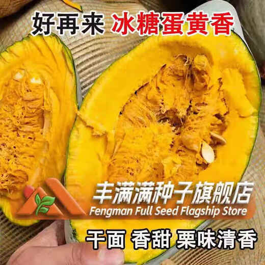Qi Zhe rock sugar egg yolk scented pumpkin seeds dry sweet noodles noble ugly melon sweet chestnut pumpkin seeds Northeast golden chestnut rock sugar egg yolk scented pumpkin 1 pack + fertilizer