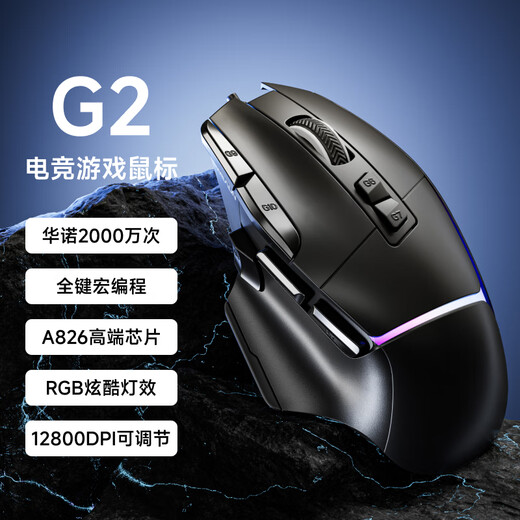 前行者G2有线鼠标电竞游戏宏编程轻量化右手人体工学类大厂模具1k回报率超低延迟芯片主控电脑笔记本专用 星环白有线RGB【12800DPI+1k回报+宏】 12800DPI-畅爽游戏-1000回报率