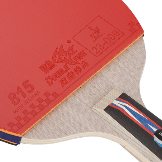 Pisces table tennis racket double racket set pendulum horizontal racket 6D six-star table tennis racket table tennis racket 2 pieces with 6 balls