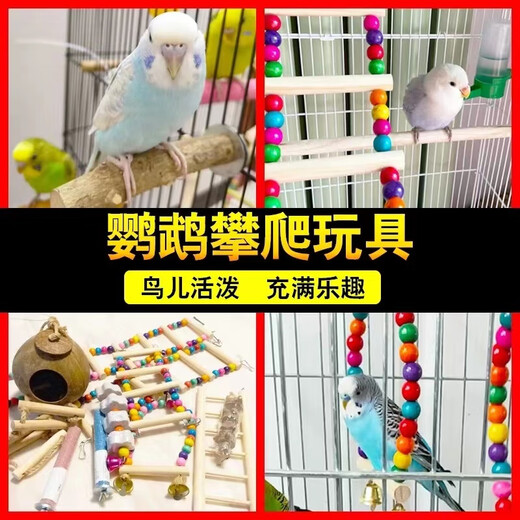 Runhuanian Parrot Solid Wood Ladder Autumn Toy Myna Myna Bird Supplies Bird Nest Bird Cage Decoration Complete Set Colorful Swing Trumpet Log