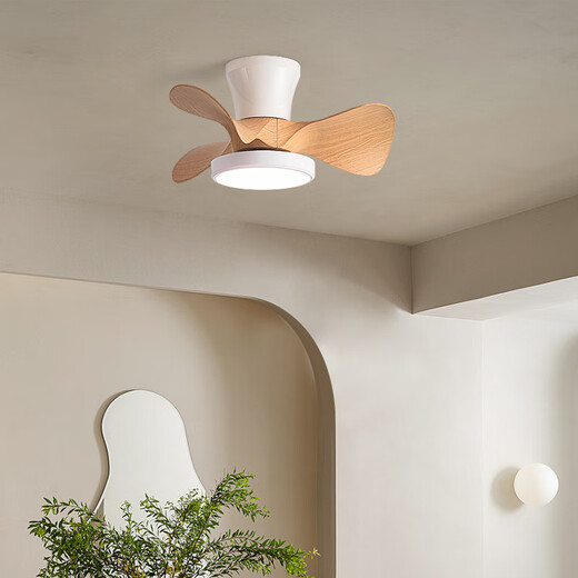 
Weather vane (FXB) Nordic indoor ceiling fan lights simple modern ceiling fan lights children's room bedroom with electric fan integrated chandelier frequency conversion 22-671A white hanger - white leaf full spectrum + light-changing remote control