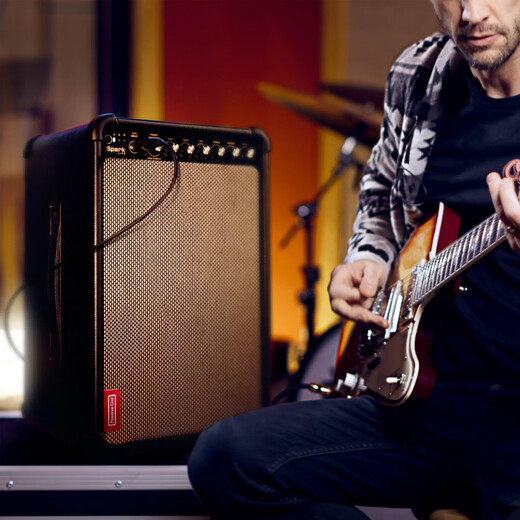Positive Grid Spark LIVE Speaker Street Show Electric Guitar Bass Guitar Outdoor Playing and Singing Spark LIVE comes standard with original rechargeable battery