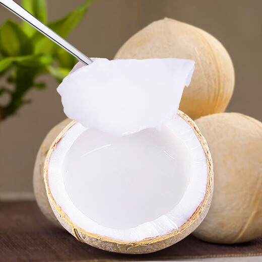 Jingdida Thailand Kokosnusskönnnetzinhalte 10.8 Jin [Jin ist gleich 0,5 kg] Single Fruit 680 g frische Kokosnuss Frische Früchte direkt von der Quelle