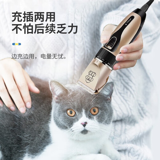 Bei Chuzhong pet shaver dog hair clipper dog hair shaver cat hair shaver dog hair pusher shaver plus nail clipper + scissor + comb, etc. Plus 4 sizes of positioning comb 5W power