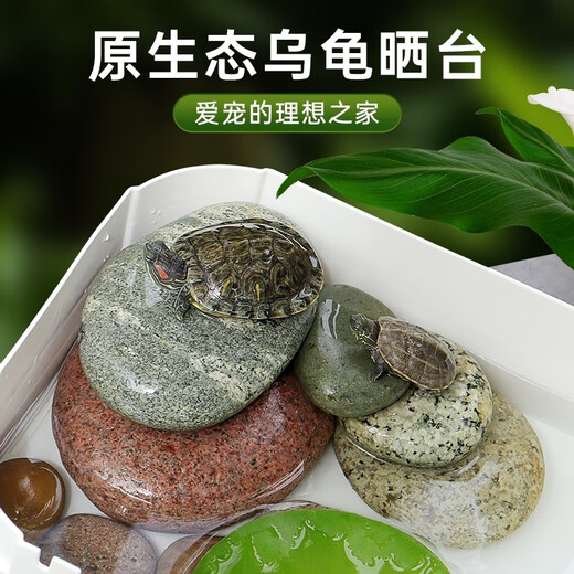 Runhuanian turtle basking platform stone climbing platform flat pebble turtle tank floating island basking stone fish tank 1 piece 9-12cm