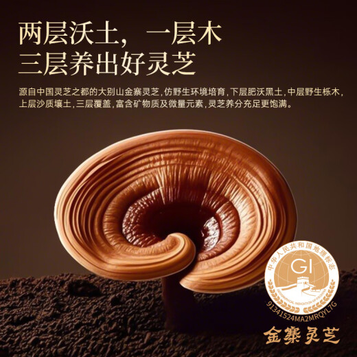 芝正元破壁灵芝孢子粉胶囊540粒季度装 三萜16%进阶款 送父母自用补品