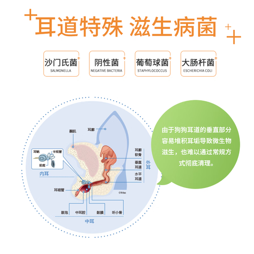 New Chongzhikang pet cat ear cleaning solution, ear mite ear drops, dog ear drops, ear cleaning ear smelly ear oil, ear ear drops, florfenicol metronidazole ear drops 20ml
