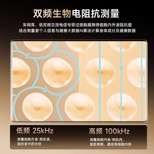 DORD德国品牌智能体脂秤八电极体重秤家用称重秤人体体脂秤减肥专用精准体重体脂一体秤心率检测 八电极尊享版-星际黑