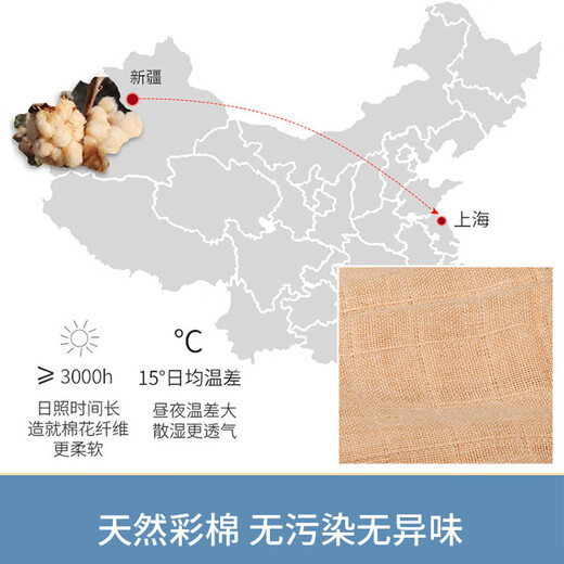蒂乐婴儿尿布纯棉新生儿秋季可洗初生宝宝纱布尿片介子戒子可水洗 彩棉尿布10条 10片装 70*50