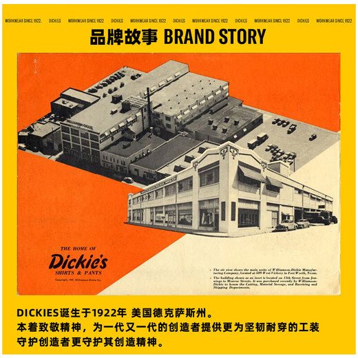 Dickies backpack backpack male and female college students school bag commuter computer bag large capacity travel bag mountaineering bag 2025 new style