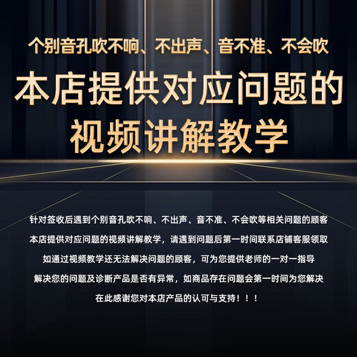 东方鼎（EAST TOP）半音阶口琴12孔48音初学金色梦想者T12-48K 