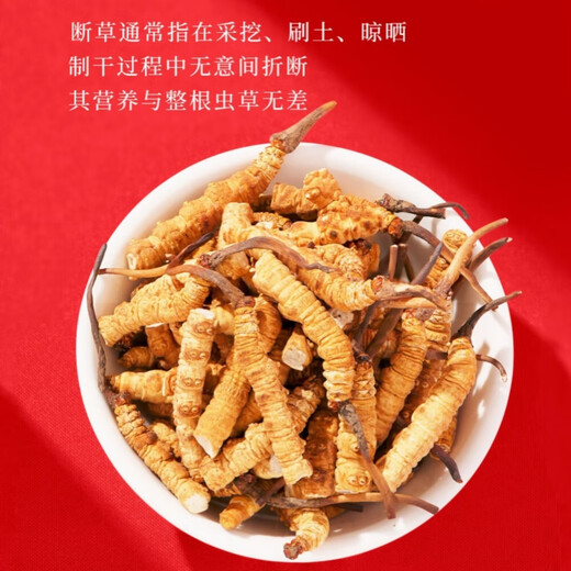 【支持质检】大断草正宗冬虫夏草断草虫草断草自食滋补正品纯肉节 断虫草10克送1克