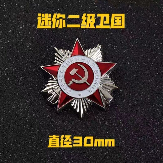 Dragon Girl Soviet Patriotic Medal First Class Retro Five-Pointed Star Brooch Brooch Medal Student School Bag Decoration Gift Soviet Badge-Gold A21-203