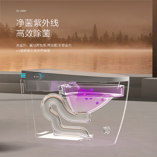 Jomoo Smart Smart Inducción totalmente automática Flip Nuevo inodoro integrado de calor instantáneo para el uso del hogar sin límite de presión de agua 826 Simple sin tanque de agua No limpieza y secado No 300 mm