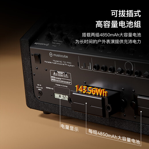 Music Knight T2 Pro outdoor live broadcast karaoke audio instrument playing and singing band Internet celebrity road performance saxophone electric blowpipe speaker G60 dual wireless microphone + T2Pro audio