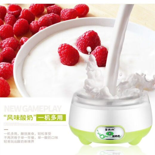 Junmo [50 bacteria powder + 3 minutes cup] Yogurt machine for household full automatic multi-function mini natto machine rice wine fermentation machine upgrade: stainless steel inner liner