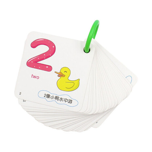 东之天地幼儿园0到100数字卡片幼小衔接一年级儿童早教启蒙认数识数玩具 0-100数字卡 108张