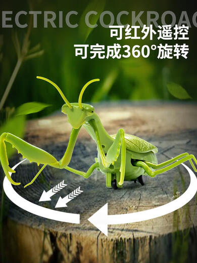 遥控螳螂电动仿真玩具整蛊神器蟑螂男孩会动的蜘蛛网红爬行小动物 经典版-遥控瓢虫红色款9922+螺丝 豪华版另赠36粒电子