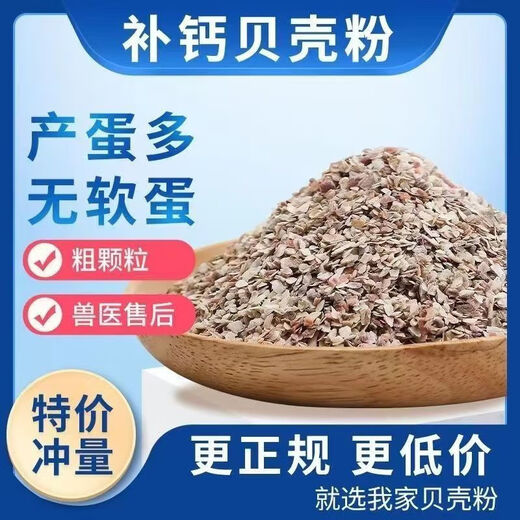 Factory direct sales of high calcium shell powder, clam shell powder to prevent soft eggs from being laid, calcium supplement to feed pigeons, chicken feed thickness, shell powder 1-2mm small particles (specialized to prevent egg pecking, calcium supplement 40Jin Jin is equal to 0.5 kg
