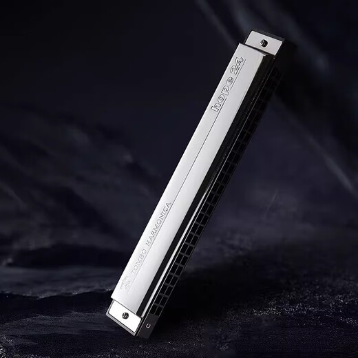 Bainuo Tombo Japan Tongbao 6624 Harmonica 24-Loch Polyphonische Anfänger für Anfänger Tascheninstrument Geschenk 24-Loch Polyphonische #A Key (B Flat Key)