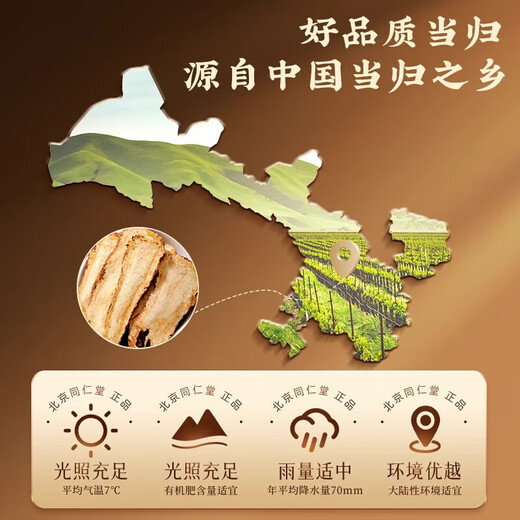 Tongrentang (TRT) Original Cut Angelica 60g, Gansu Minxian, un grand morceau d'angelica trempé dans du vin, du thé de la santé, de la soupe, du thé de la santé, de la phytothérapie chinoise
