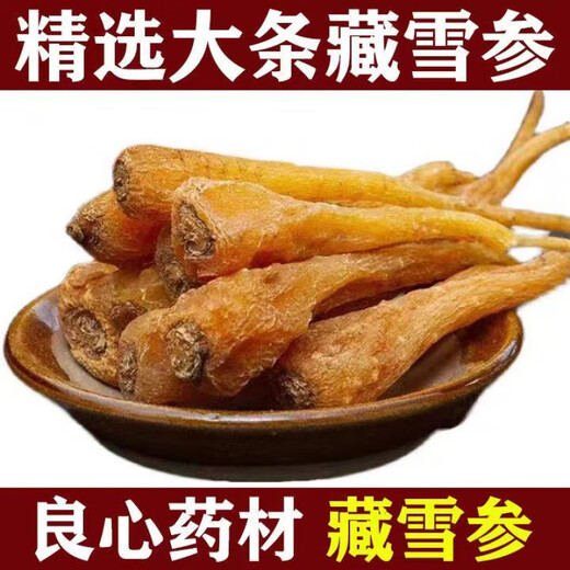 【1283人收藏】藏雪参雪人参雪参无添加煲汤泡酒大条正宗原产中药 天然藏雪参100.89克