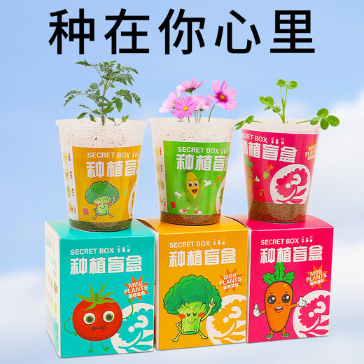 植物盲盒小盆栽绿植幼儿园小礼物室内种植蔬菜种子小学生桌面观察 植物盲盒【随机2盒】