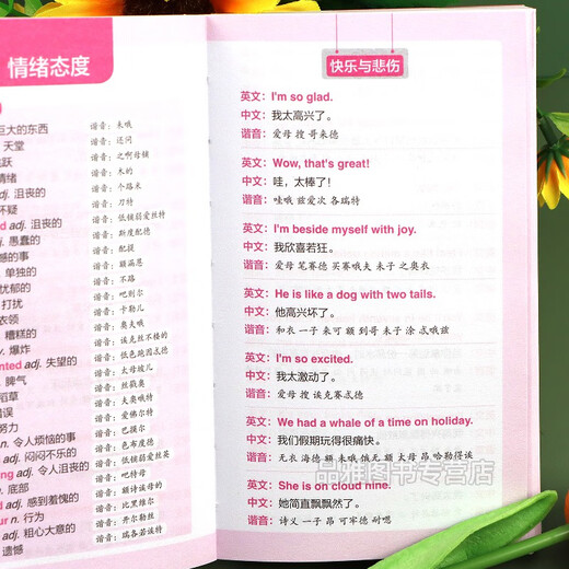 Sprechen Sie Englisch ohne Grundkenntnisse und sprechen Sie authentisches Englisch mit Ihnen. Taschenbuch mit homophonem Chinesisch-Englisch für Anfänger. Scannen Sie den QR-Code, um 12 Bilder anzuhören und zu lesen. Wasserdichter, immersiver Familienort.