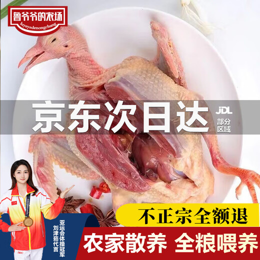 Grandpa Lu's farm, freshly killed live pigeons over 3 years old, farm free-range pigeon meat stew, squab, fresh pigeons, 3 years old pigeons, 1 pack, about 400g each Grandpa Lu's farm, freshly killed live pigeons over 3 years old, farm free-range pigeon meat stew, squab, fresh pigeons, 3 years old pigeons, 1 pack, about 400g each