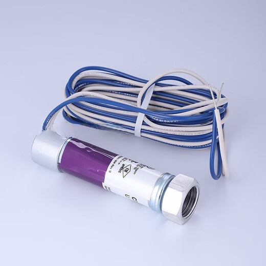 Flame Detector Monitor C7027A1049 UV -Sonde C7027A1023 Elektrisches Eye Original importiert C7027A1049