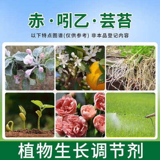 Bihu Indo-Brassica vegetable, flower and fruit tree antidote for plant growth regulator Chi-Indo Brassica 50g*1 bag 20g