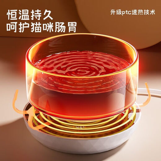 酸奶机猫咪饮水恒温无线机冬季加热罐头喝水碗陶瓷保温喂水器宠物 600ml白色陶瓷碗+防干烧定时恒温垫 三挡数显饮水机 水电分离丨已质检