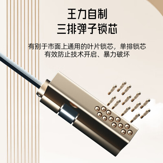 WL王力4级新款防盗门家用入户门进户门智能子母门单门大门P701【2.0】 带屏智能锁（P50升级） 单门2050*1050&2150*950